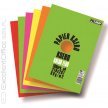 Papier xero A4/80g KRESKA mix kolor FLUO (250ark.) 